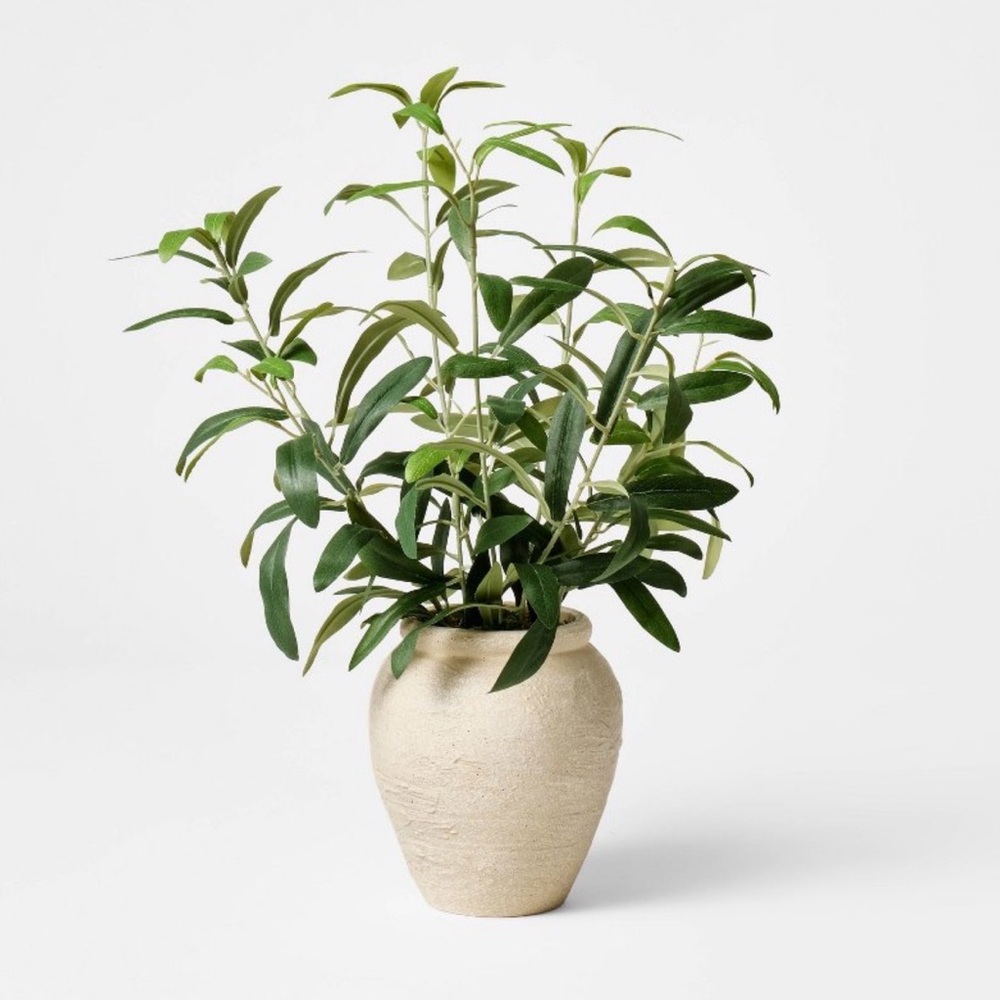 Small Olive Leaf Arrangement— Threshold designed with Studio McGee